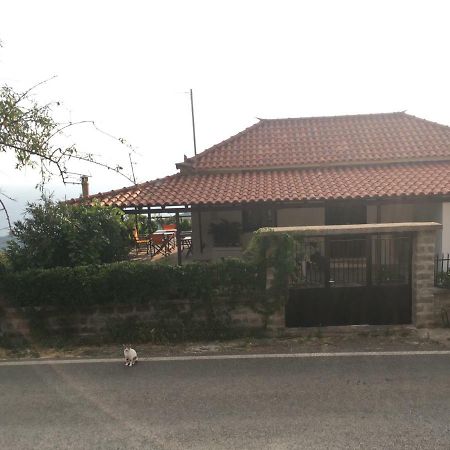 Angel Villa Tseria Bagian luar foto
